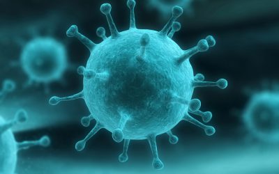 Viry by mohly léčit periapikální infekce